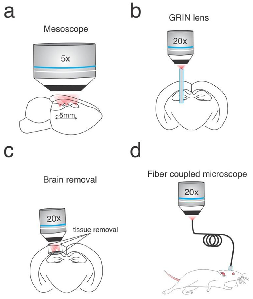 Figure 3: