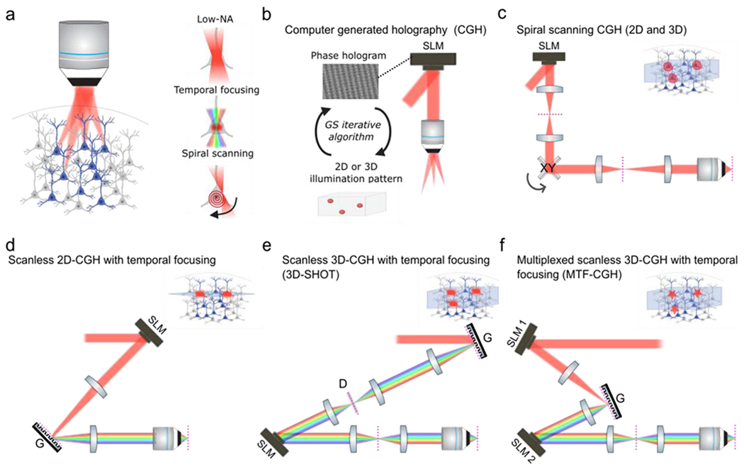 Figure 1: