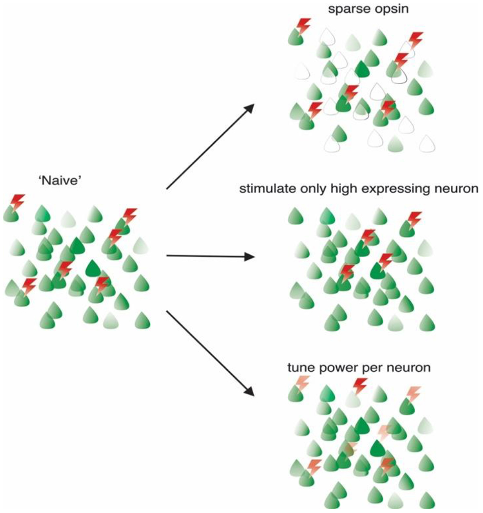 Figure 2: