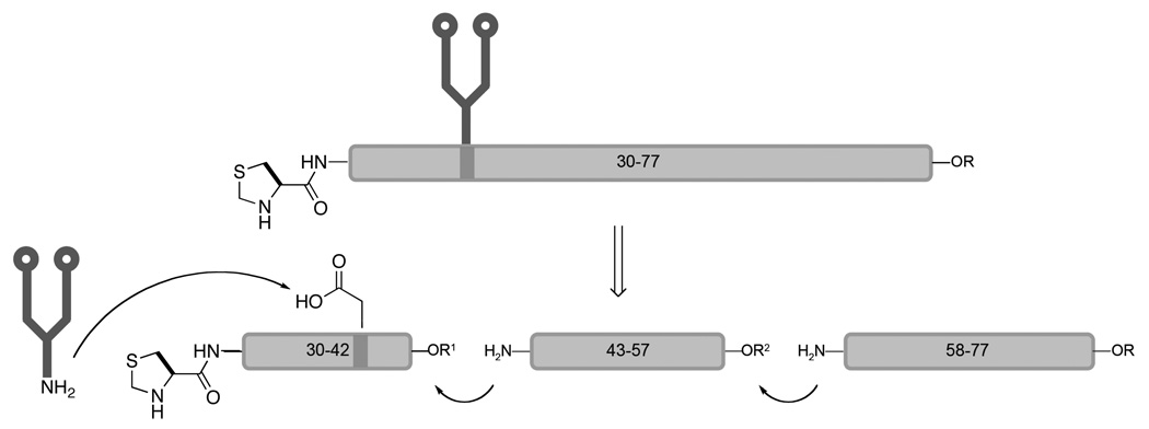 Scheme 5