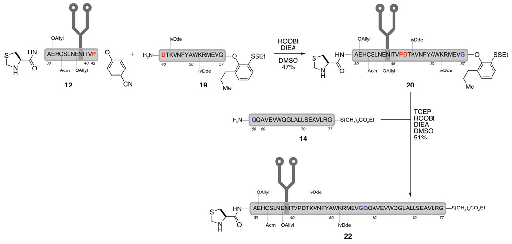 Scheme 8