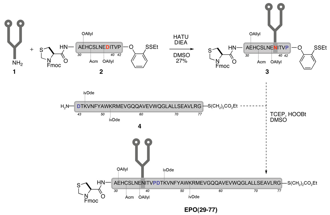 Scheme 2