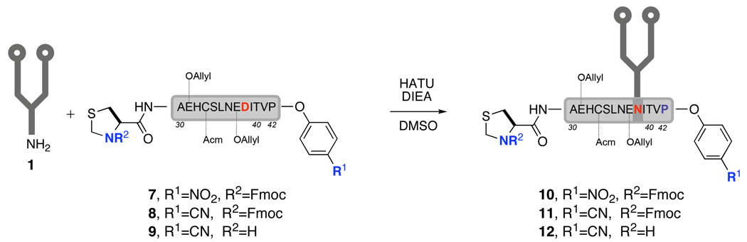 Scheme 4