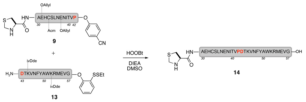 Scheme 6