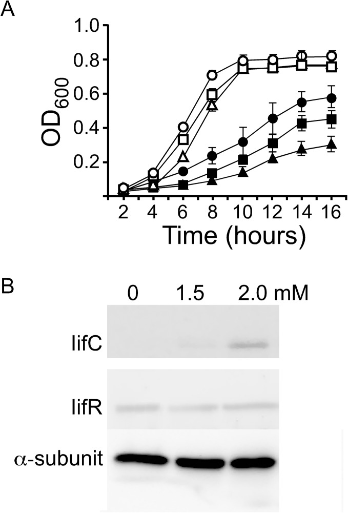 Fig 5