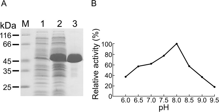 Fig 4