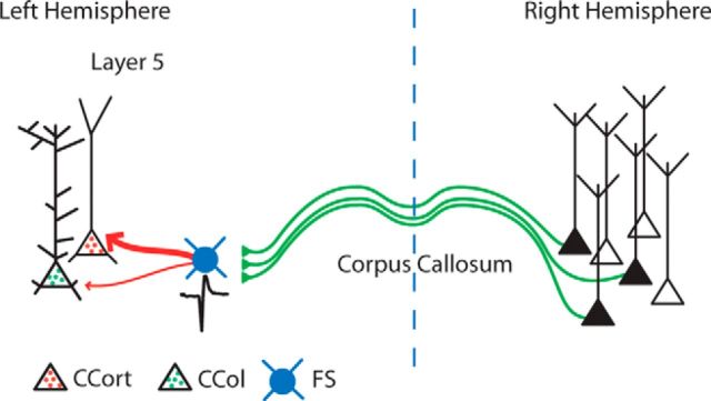 Figure 7.