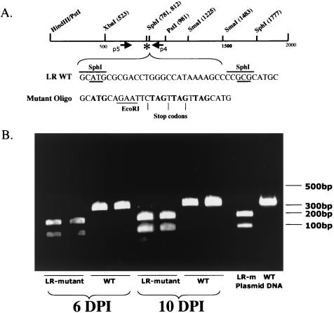 FIG. 2.