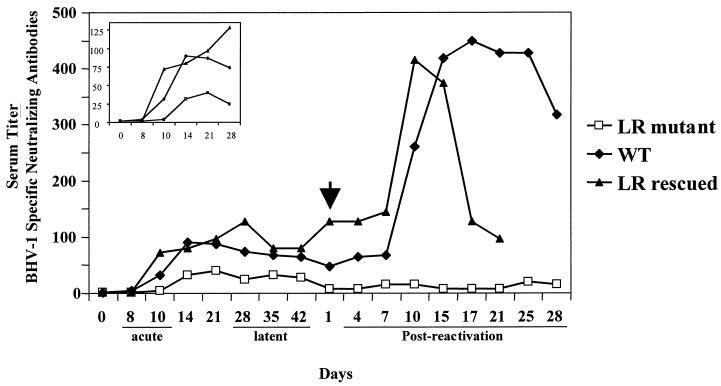 FIG. 6.