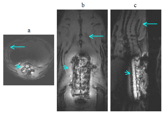 Figure 12