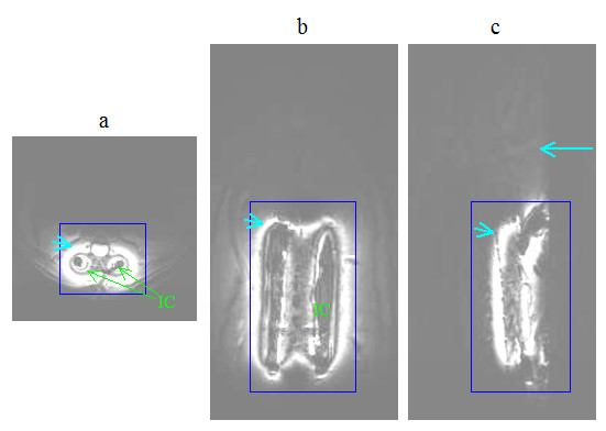 Figure 11