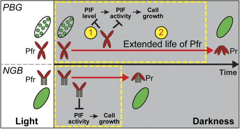 Figure 7.