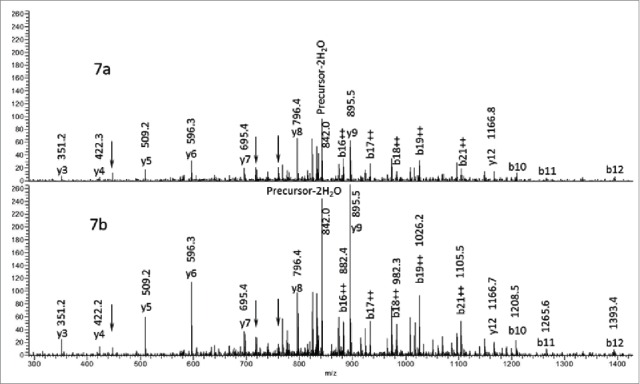 Figure 7.