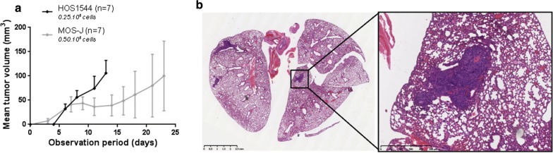 Fig. 5