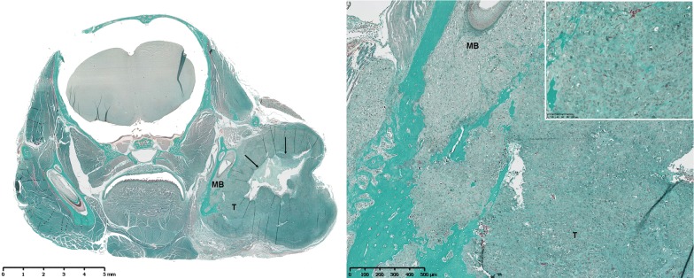 Fig. 1