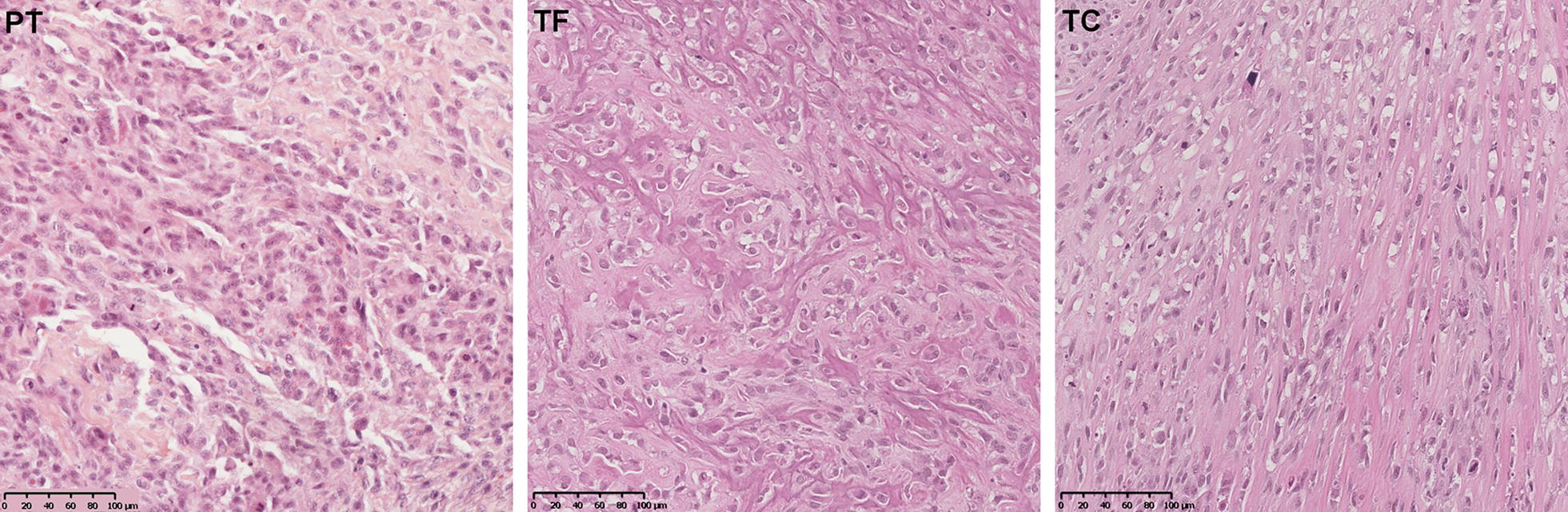 Fig. 3