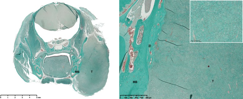 Fig. 2