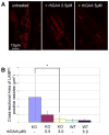 Fig. 9