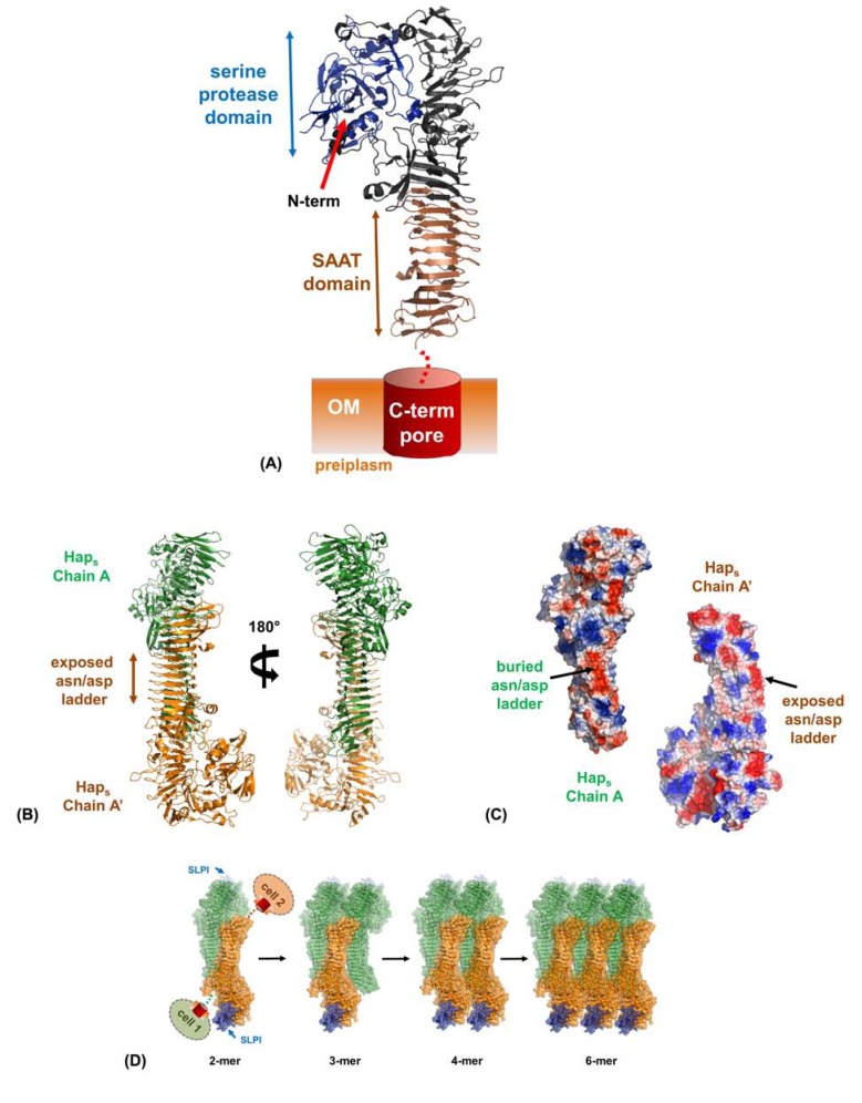 Fig. (4)