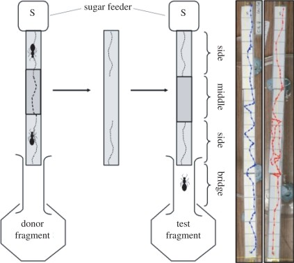 Figure 1.