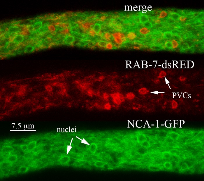 FIG 4