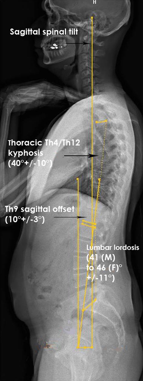 Fig. 8