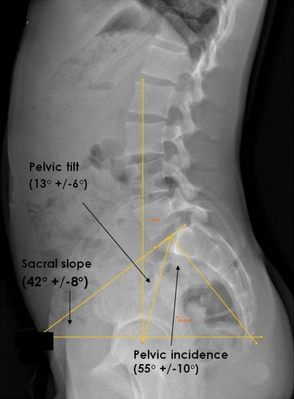 Fig. 7