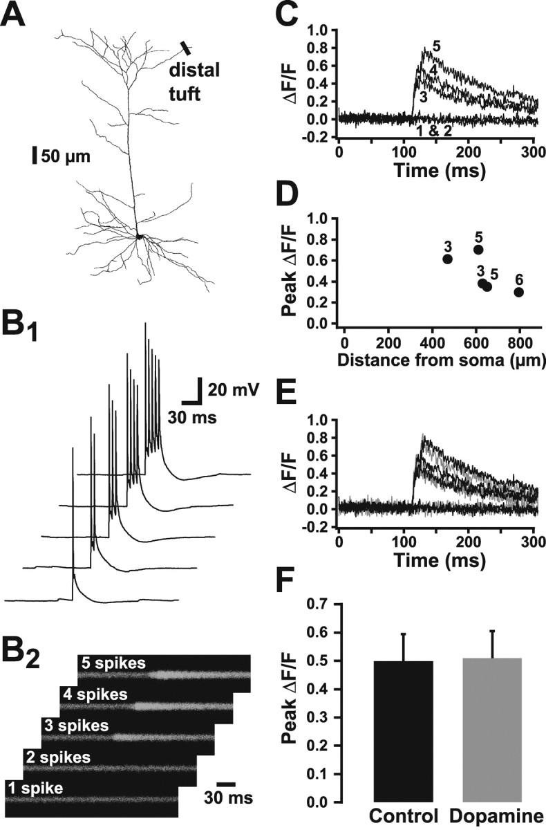 Figure 10.