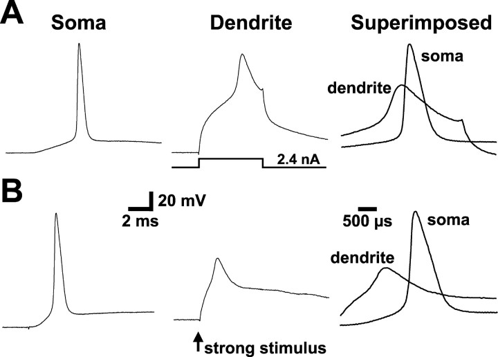 Figure 7.