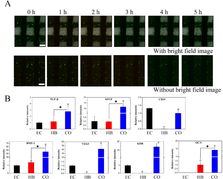 Figure 4