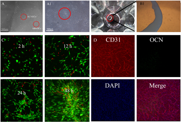 Figure 3