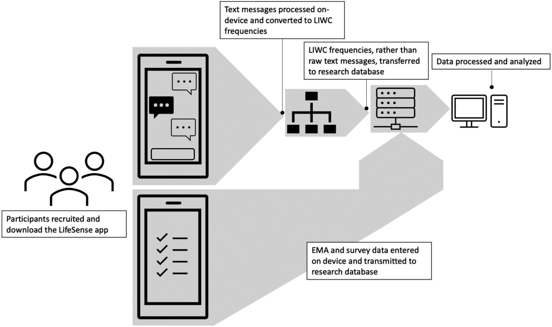 Figure 1: