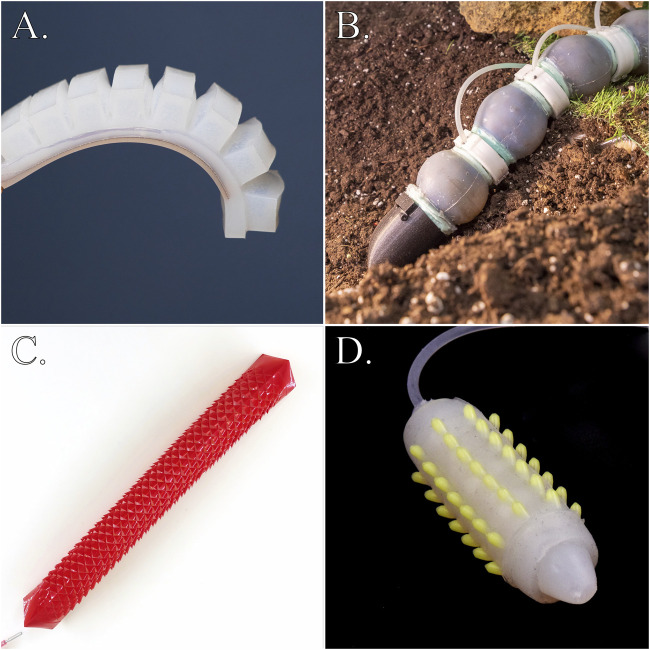 FIGURE 3