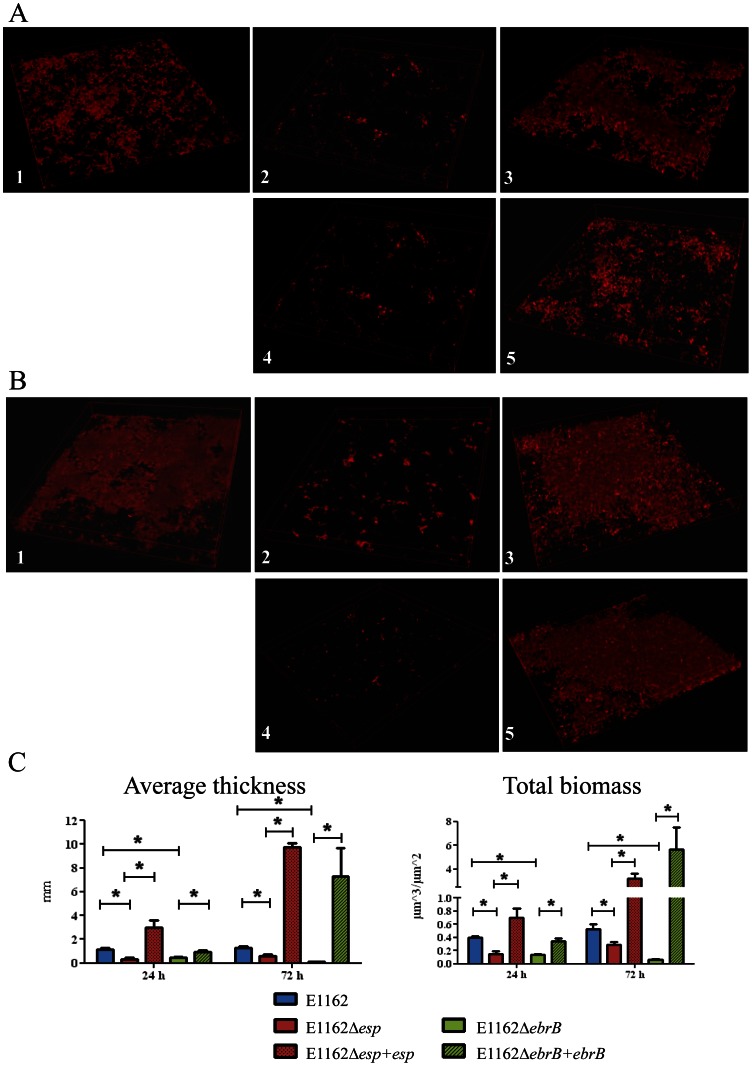 Figure 5