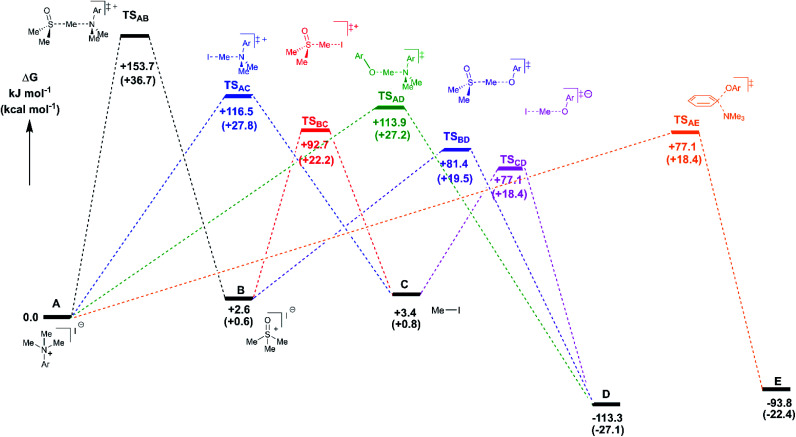 Fig. 22