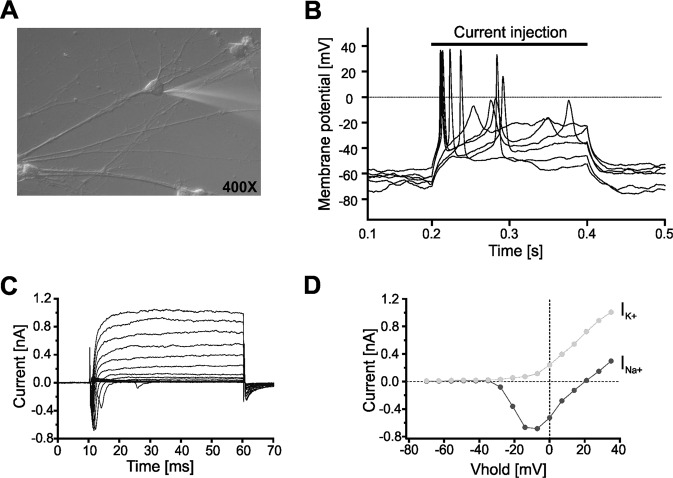 Fig. 4