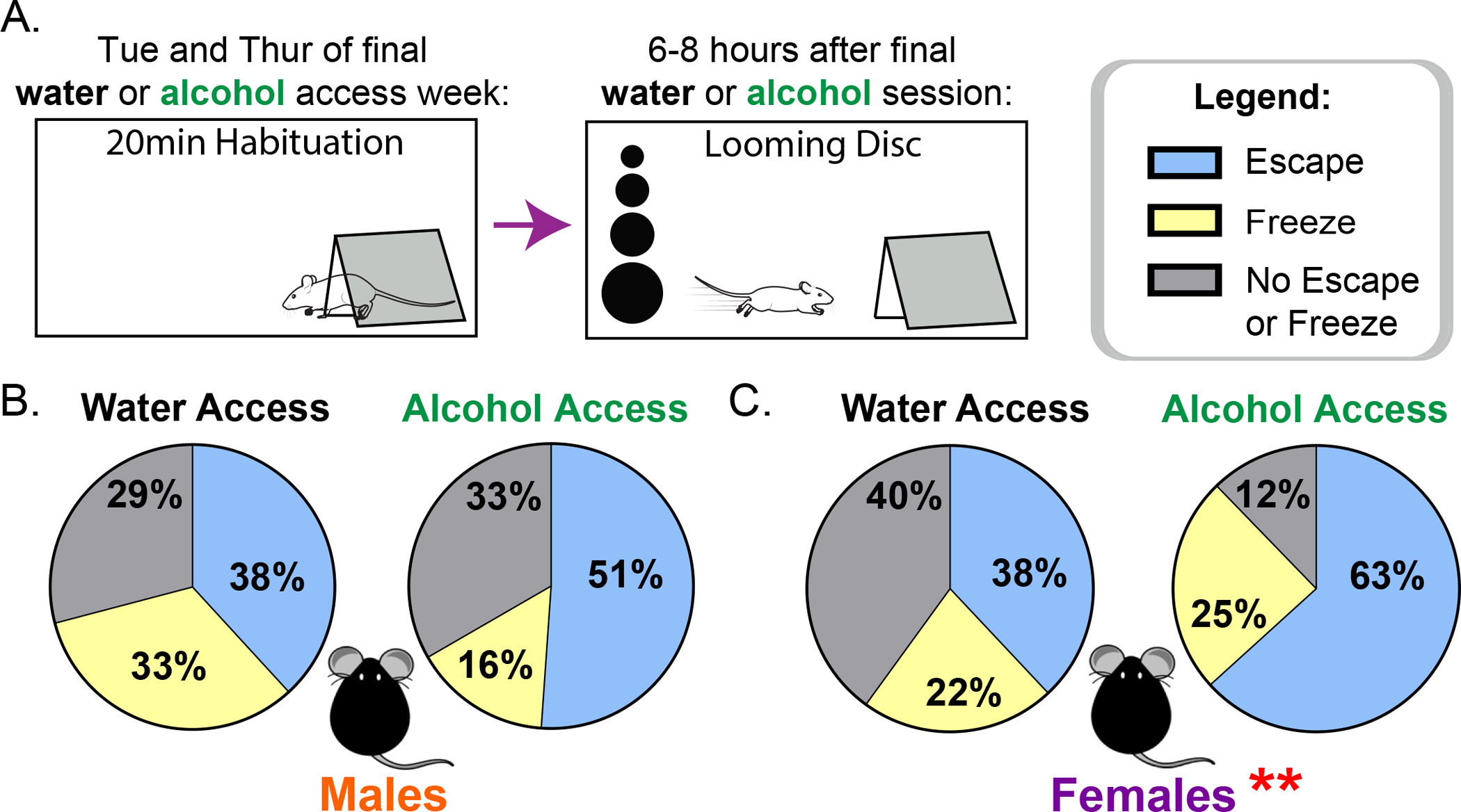 Figure 4: