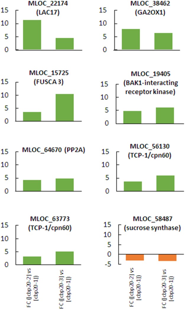 Figure 11