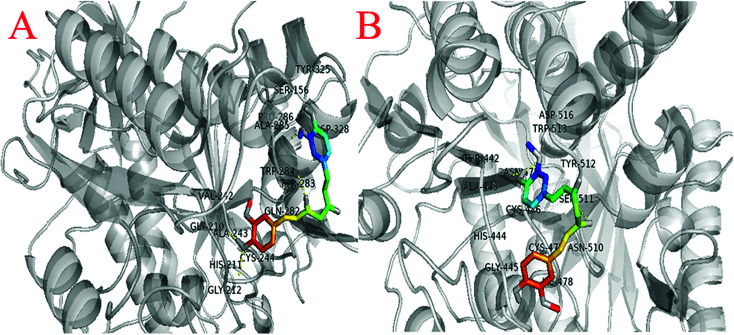 Fig. 10