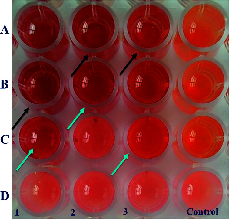 Fig. 7