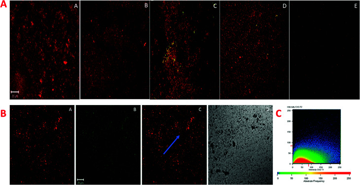 Fig. 12