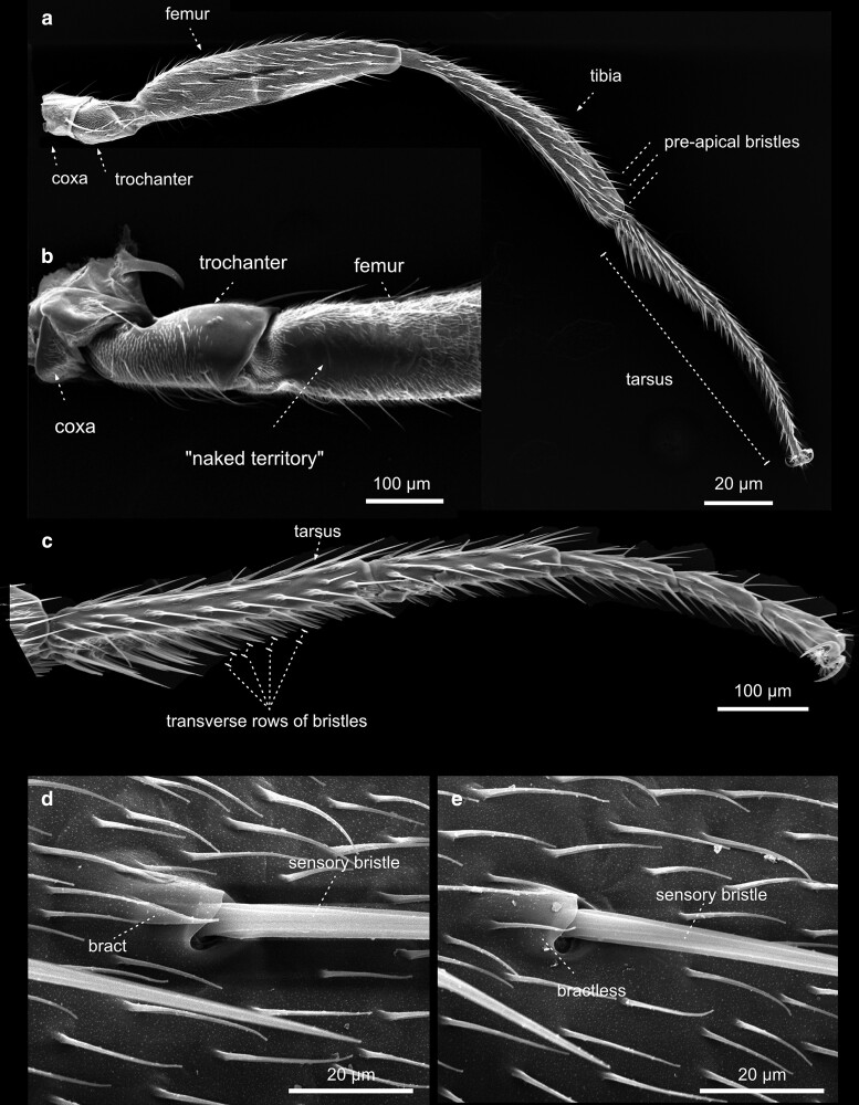 Fig. 42.