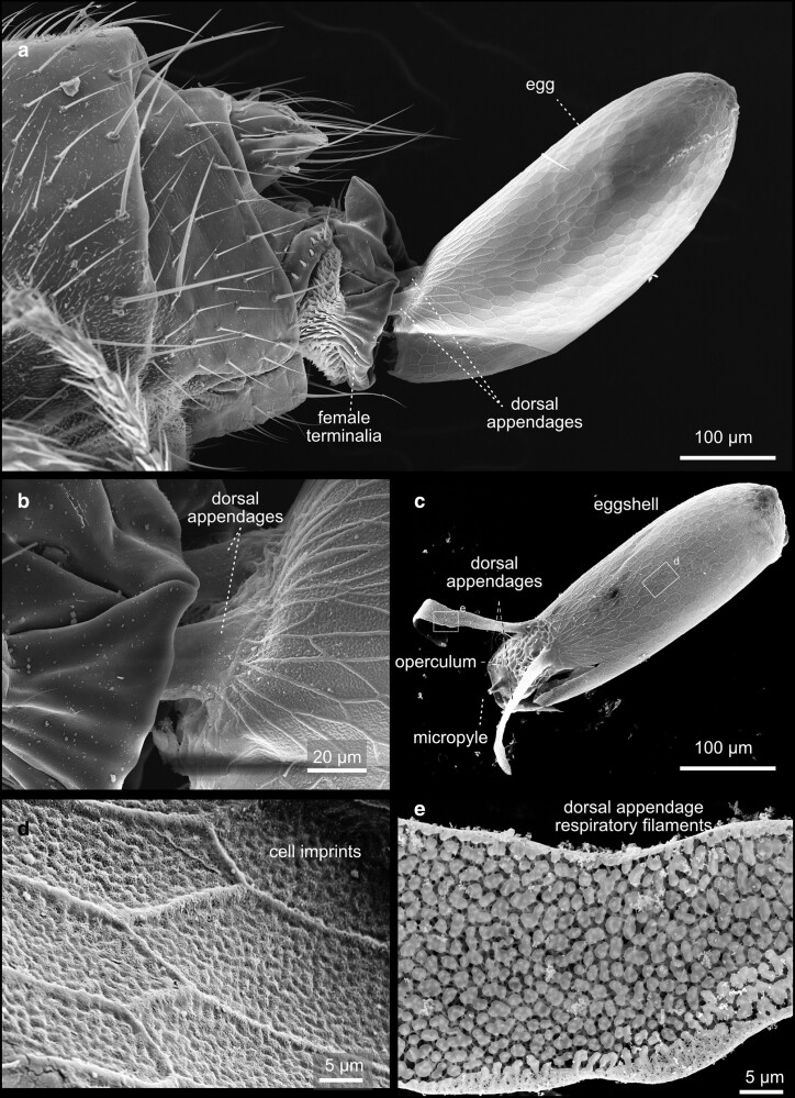 Fig. 52.