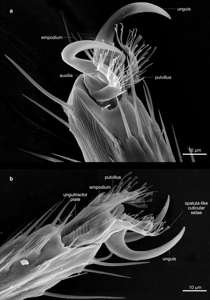 Fig. 43.