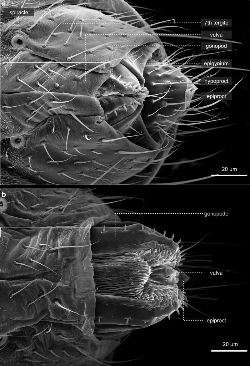 Fig. 48.