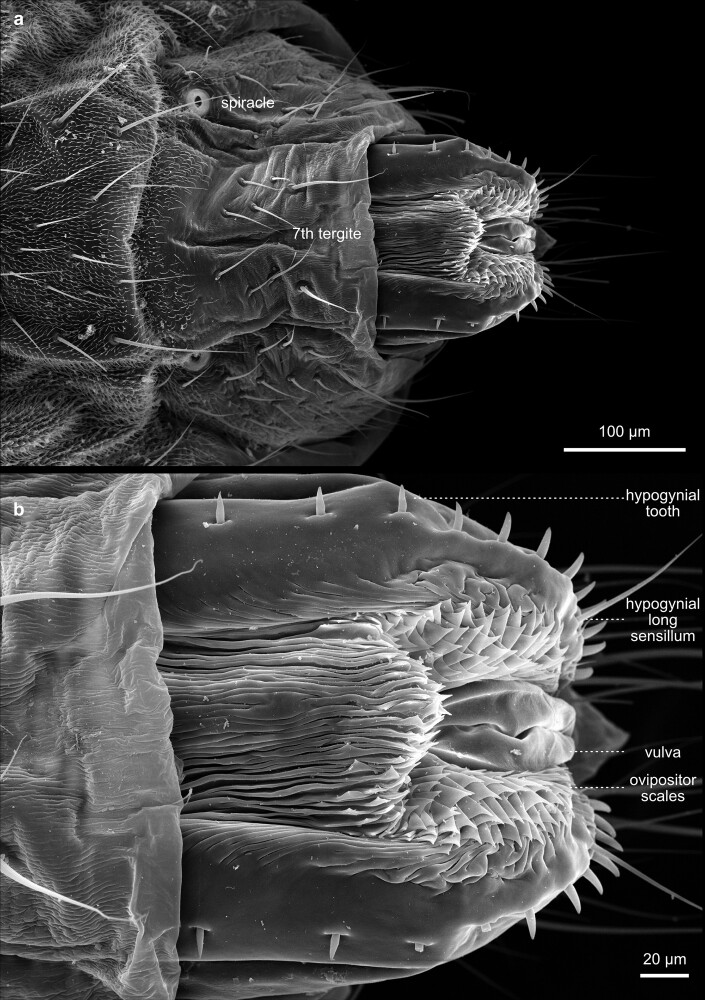 Fig. 49.