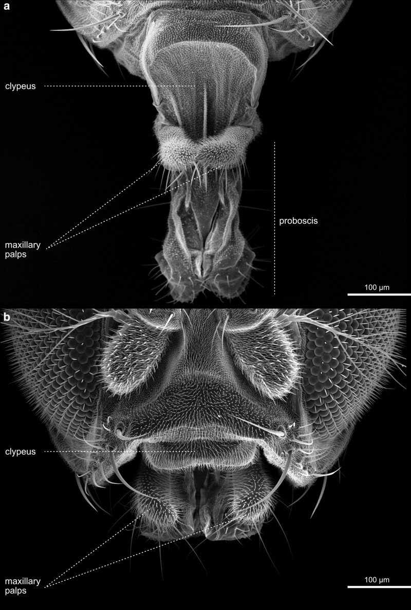 Fig. 25.