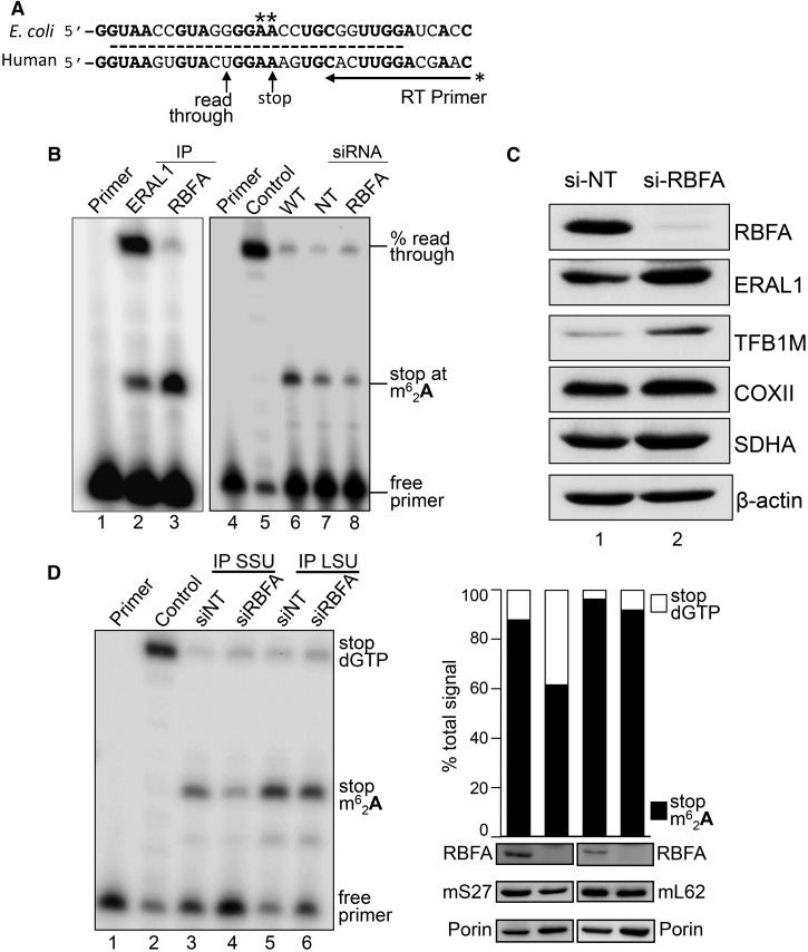 Figure 4.