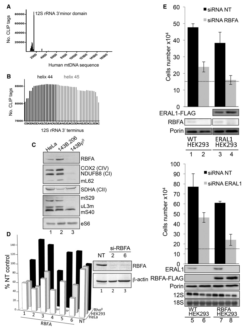 Figure 2.