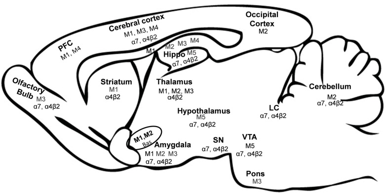 Fig. (1)